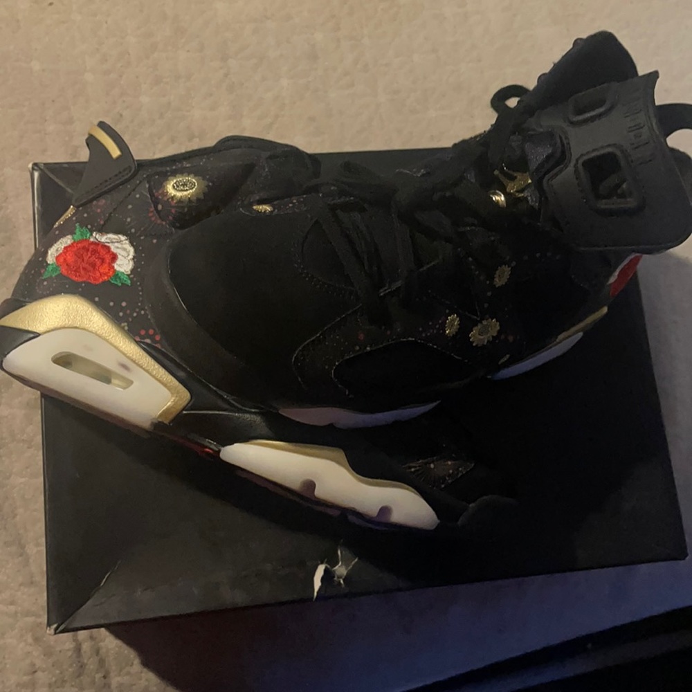 Brand New Jordan Retro 6